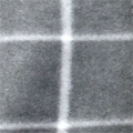 Gray / Plaid